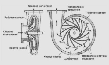 Схема работы аодяного насоса Калибр Принцип действия центробежного насоса