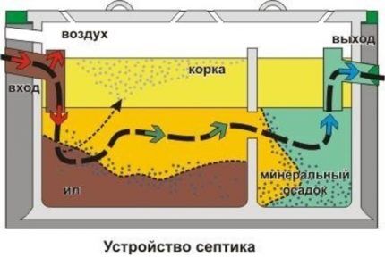 Схема септика с анаэробными бактериями Схема двухкамерного септика
