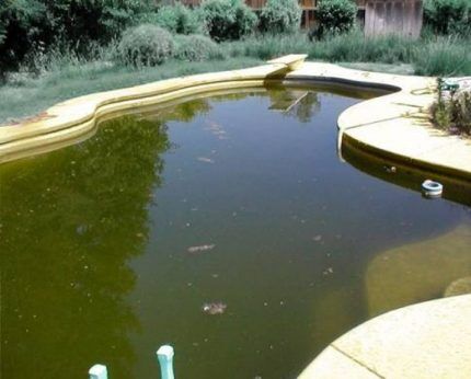 Как подобрать коагулянт для очистки природной воды в бассейне Вода из природного водоема