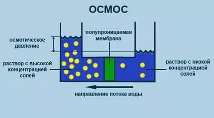 Как работает установка обратного осмоса Принцип действия установки обратного осмоса
