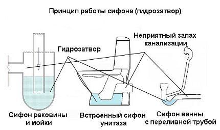 Виды сантехнических сифонов Виды сантехнических сифонов