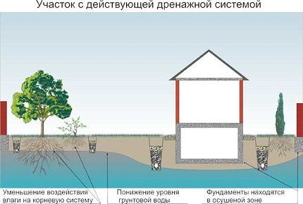 Схема дренажной системы Схема дренажной системы