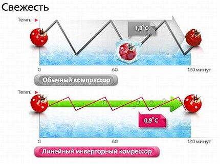 В инверторной холодильной камере зелень дольше сохраняется Воздействие перепадов температур на овощи