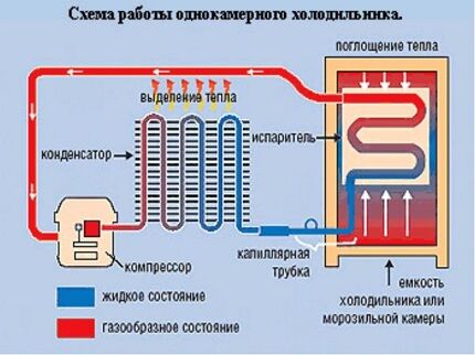 При поломке компрессора в камерах агрегата будет тепло Схема работы холодильника