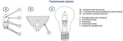 Типы галогенных источников света Разновидности галогенных ламп