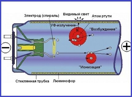 Конструкционные элементы люминесцента Устройство люминесцентной лампы