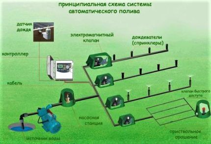 Устройство системы автополива на загородном участке Схема автополива огорода