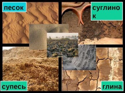 Типы почвы