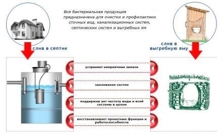 Бактерии для септиков и вынгебных ям