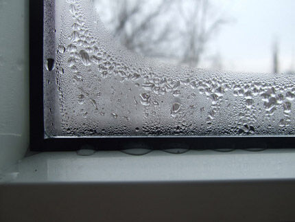Конденсат и плесень на окнах - признак неисправности вентиляции