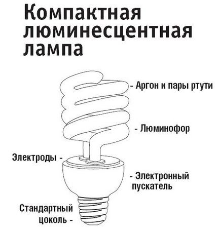 Устройство компактных люминесцентных ламп