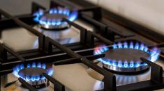 Как увеличить мощность газовой конфорки и улучшить пламя на плите: обзор популярных способов