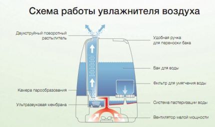 Принцип работы УЗ увлажнителя воздуха 