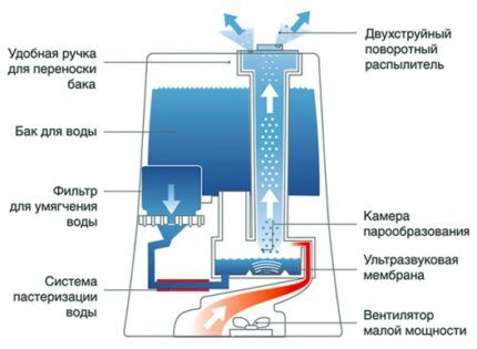 Схема ультразвукового устройства