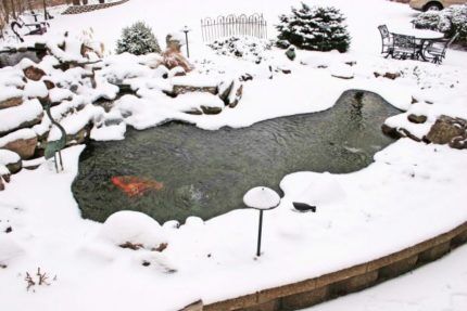 Функционирующий пруд в зимний сезон